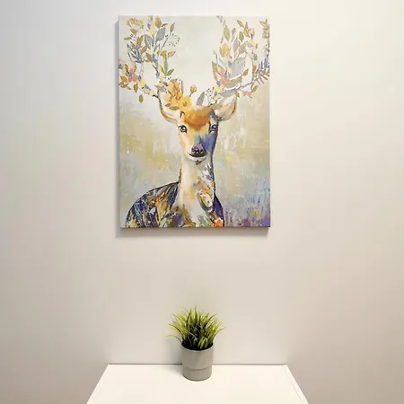 Apartment Mmrent My Dear *