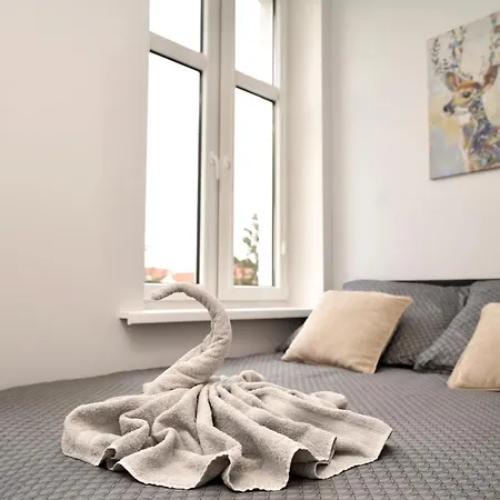 Mmrent My Dear Apartment